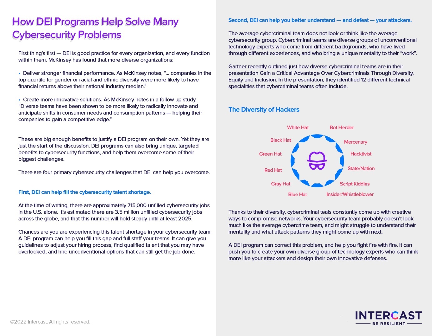 How DEI Programs Help Solve Many Cybersecurity Problems by Intercast 